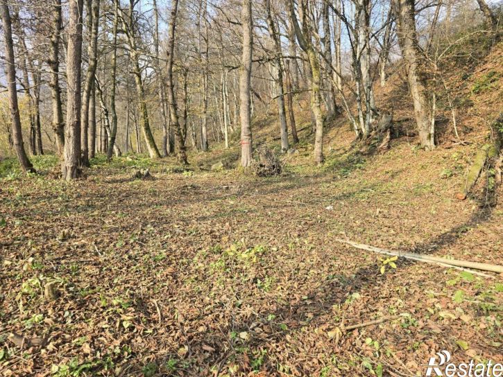 Земельный участок ул Волоколамская, 46,  д. 46