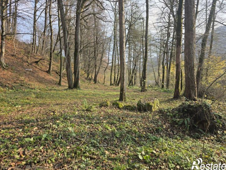 Земельный участок ул Волоколамская, 46,  д. 46