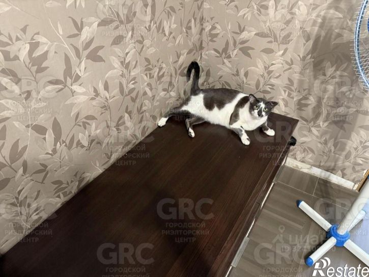 2-комн квартира Лесная улица, 19,  д. 19