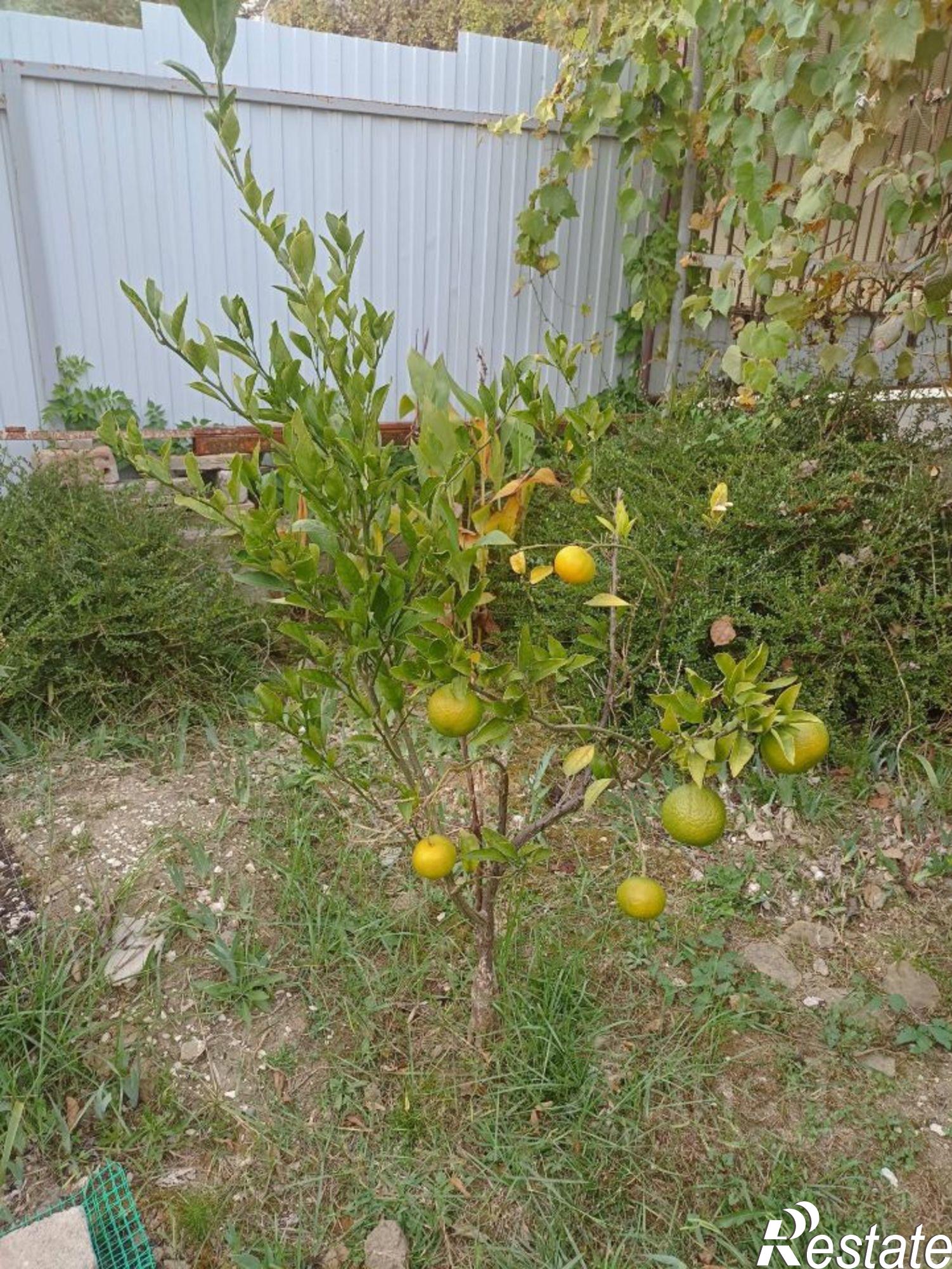 Купить дачу, дом, коттедж за 12 990 000 рублей на городской округ Сочи