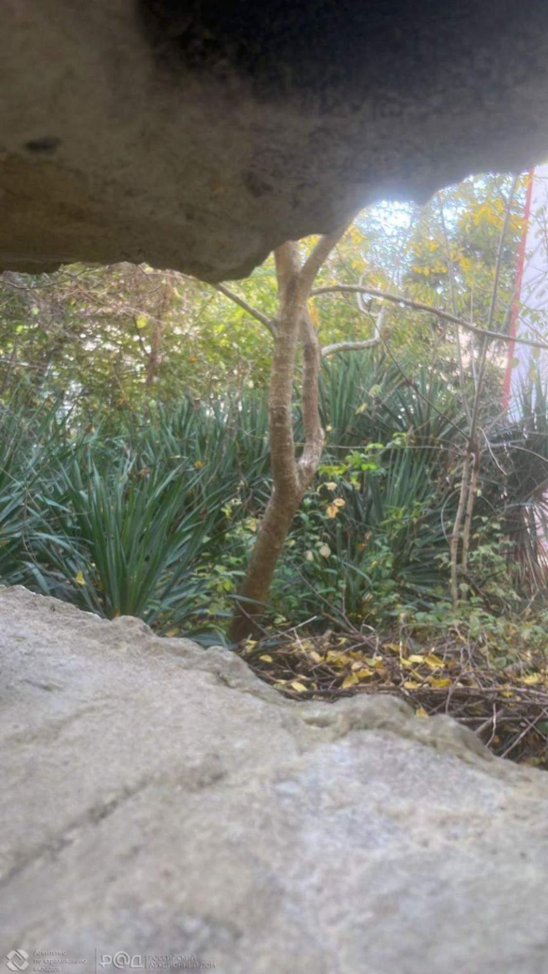 Купить дачу, дом, коттедж за 49 904 400 рублей на Теневой переулок, д.68