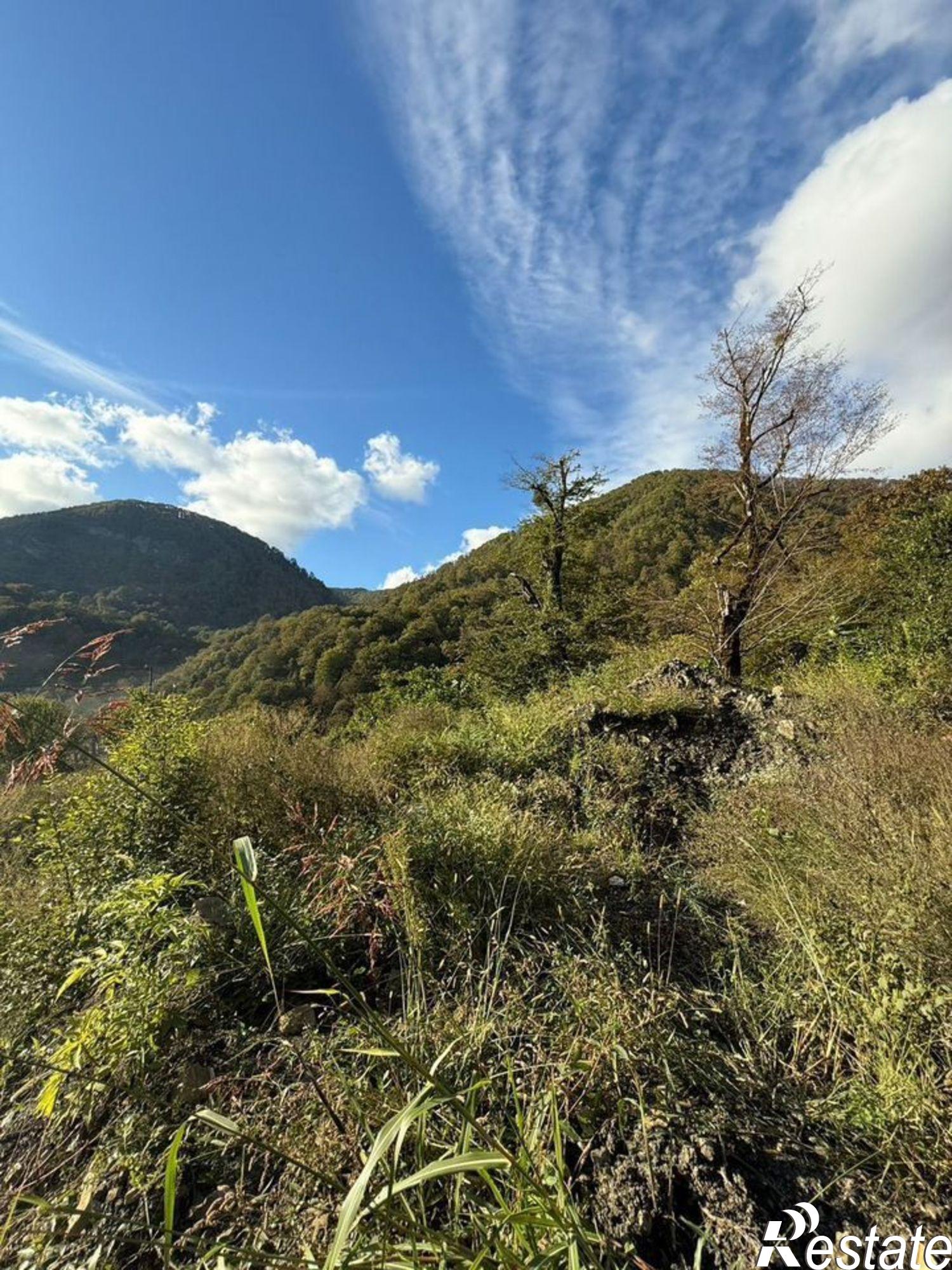 Купить землю, земельный участок за 8 000 000 рублей на городской округ Сочи