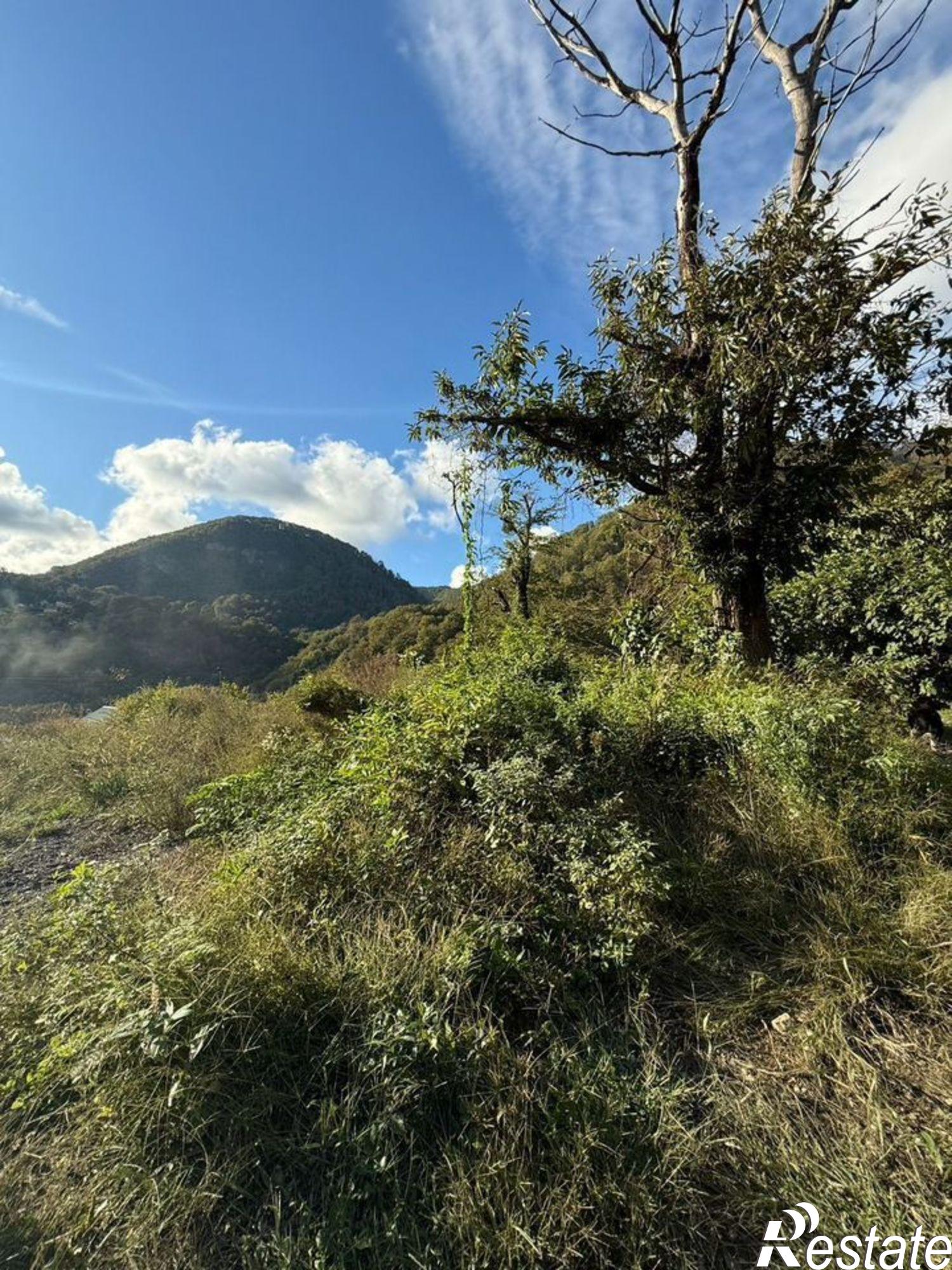 Купить землю, земельный участок за 8 000 000 рублей на городской округ Сочи