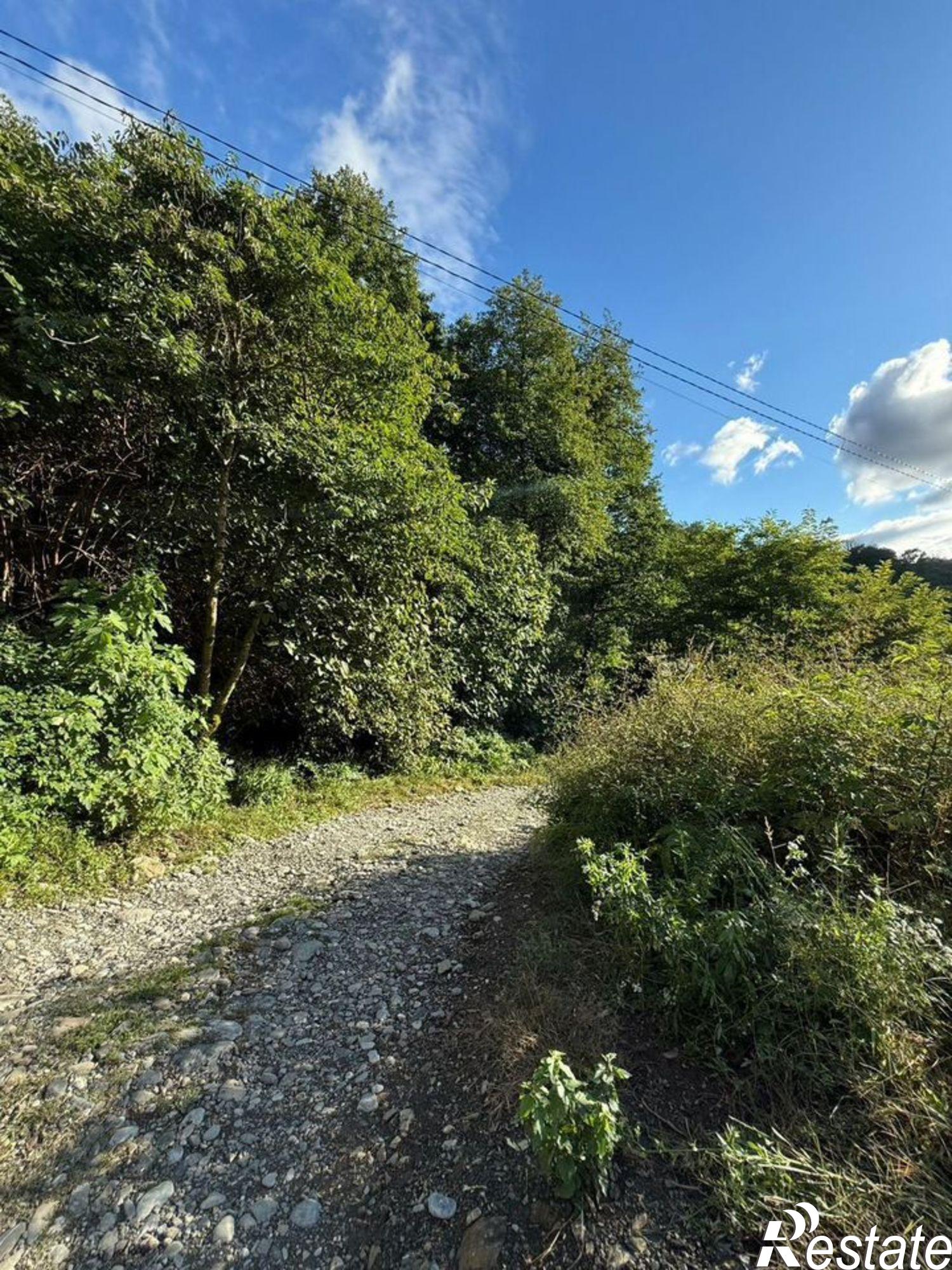 Купить землю, земельный участок за 8 000 000 рублей на городской округ Сочи