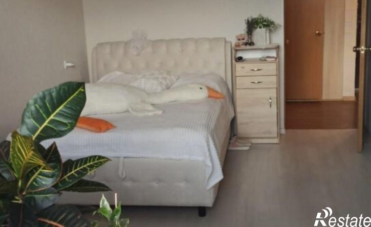 2-комн квартира улица Пирогова, 4,  д. 4