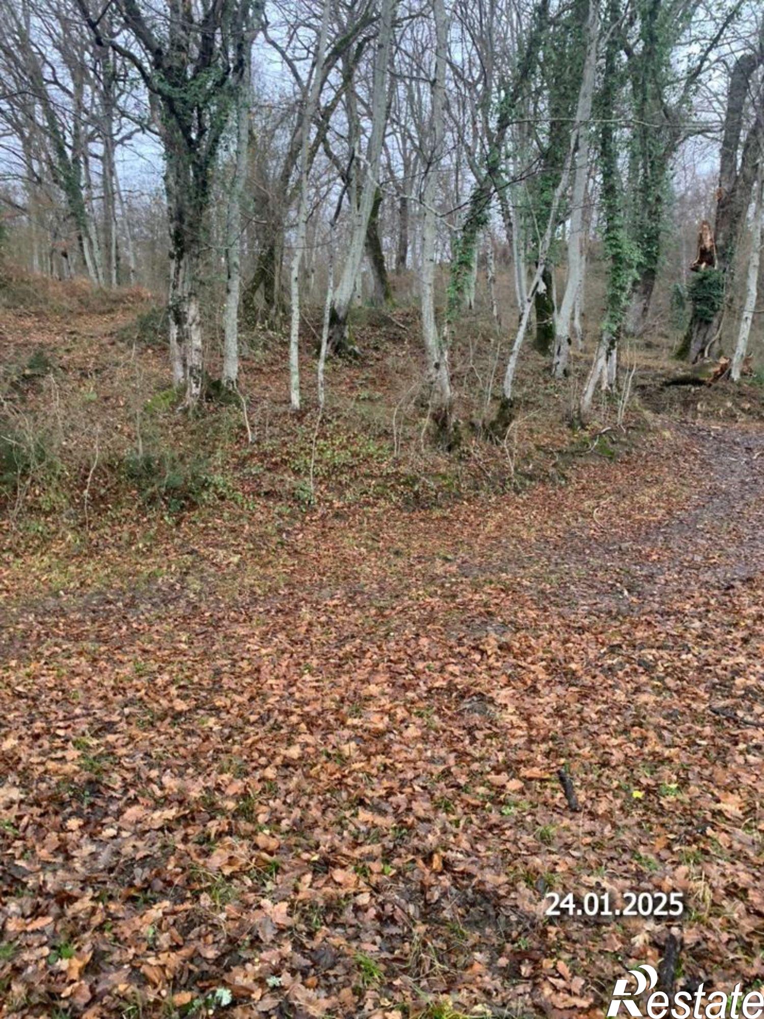 Купить землю, земельный участок за 1 200 000 рублей на городской округ Сочи