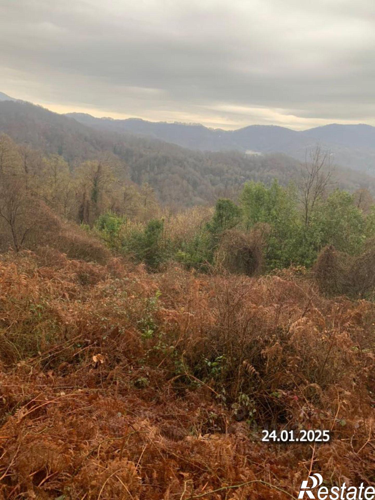 Купить землю, земельный участок за 1 200 000 рублей на городской округ Сочи