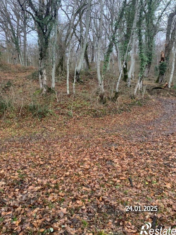 Земельный участок городской округ Сочи