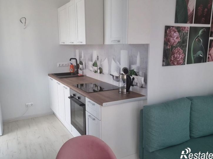 2-комн квартира Курортный пр-кт, 96Г 2,  д. 96Г 2,  к. 2