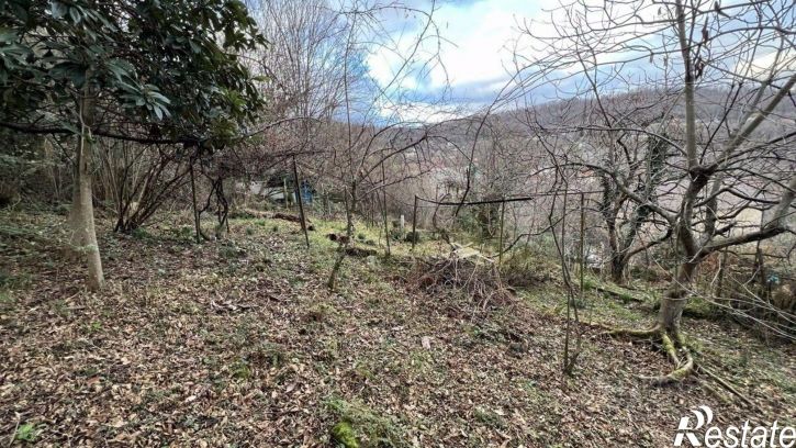 Земельный участок городской округ Сочи