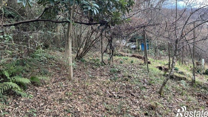 Земельный участок городской округ Сочи