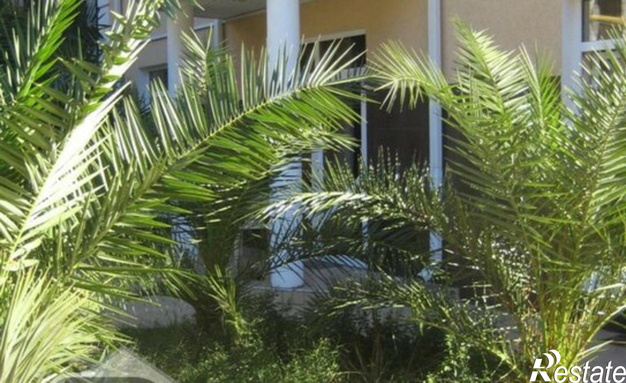 Купить квартиру за 25 000 000 рублей на улица Удачи, 10