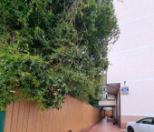 3-комн, 55кв м, этаж 1/3 ул Павлика Морозова, 42