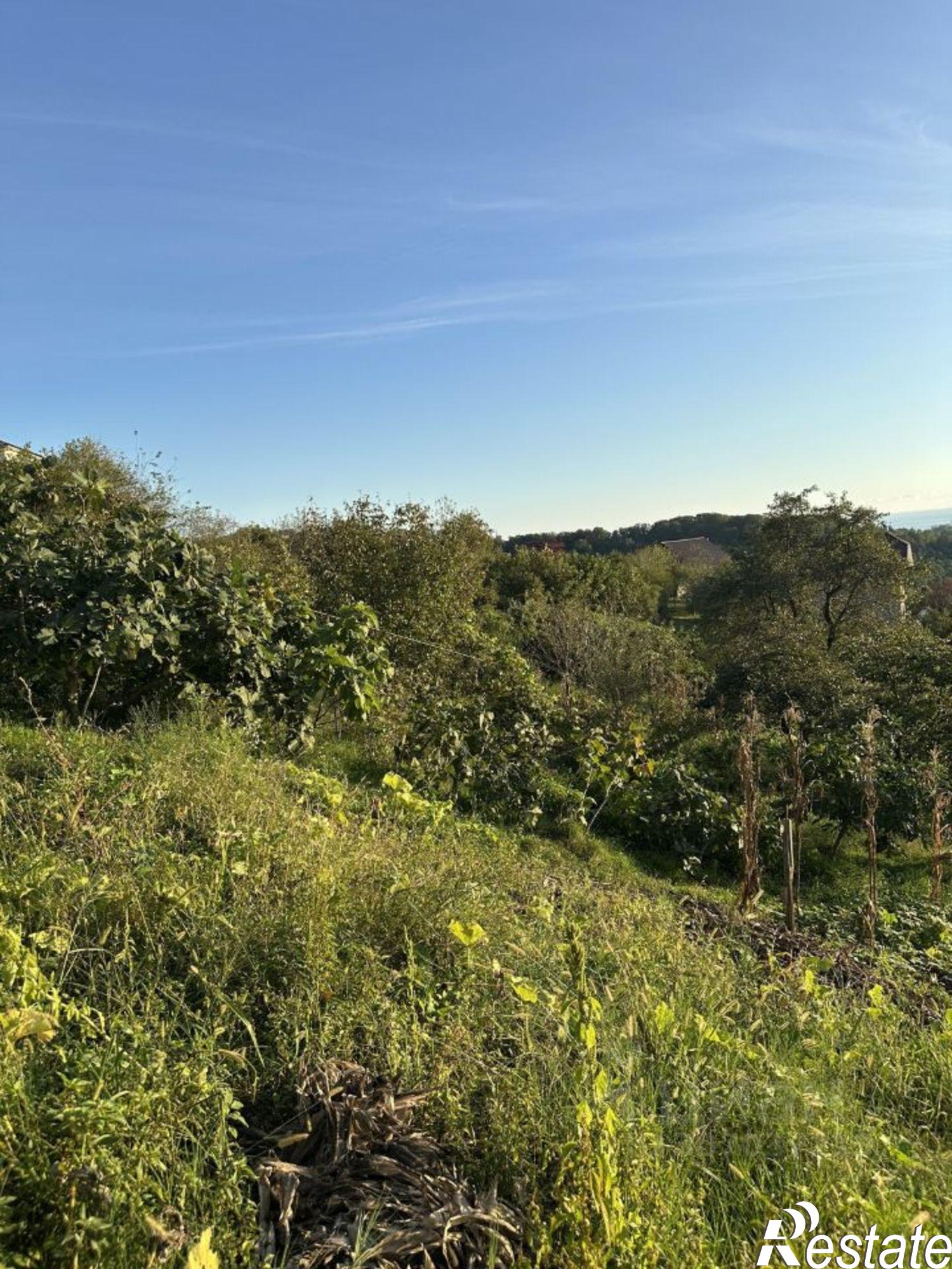 Купить землю, земельный участок за 11 500 000 рублей на ул Абовяна, 83