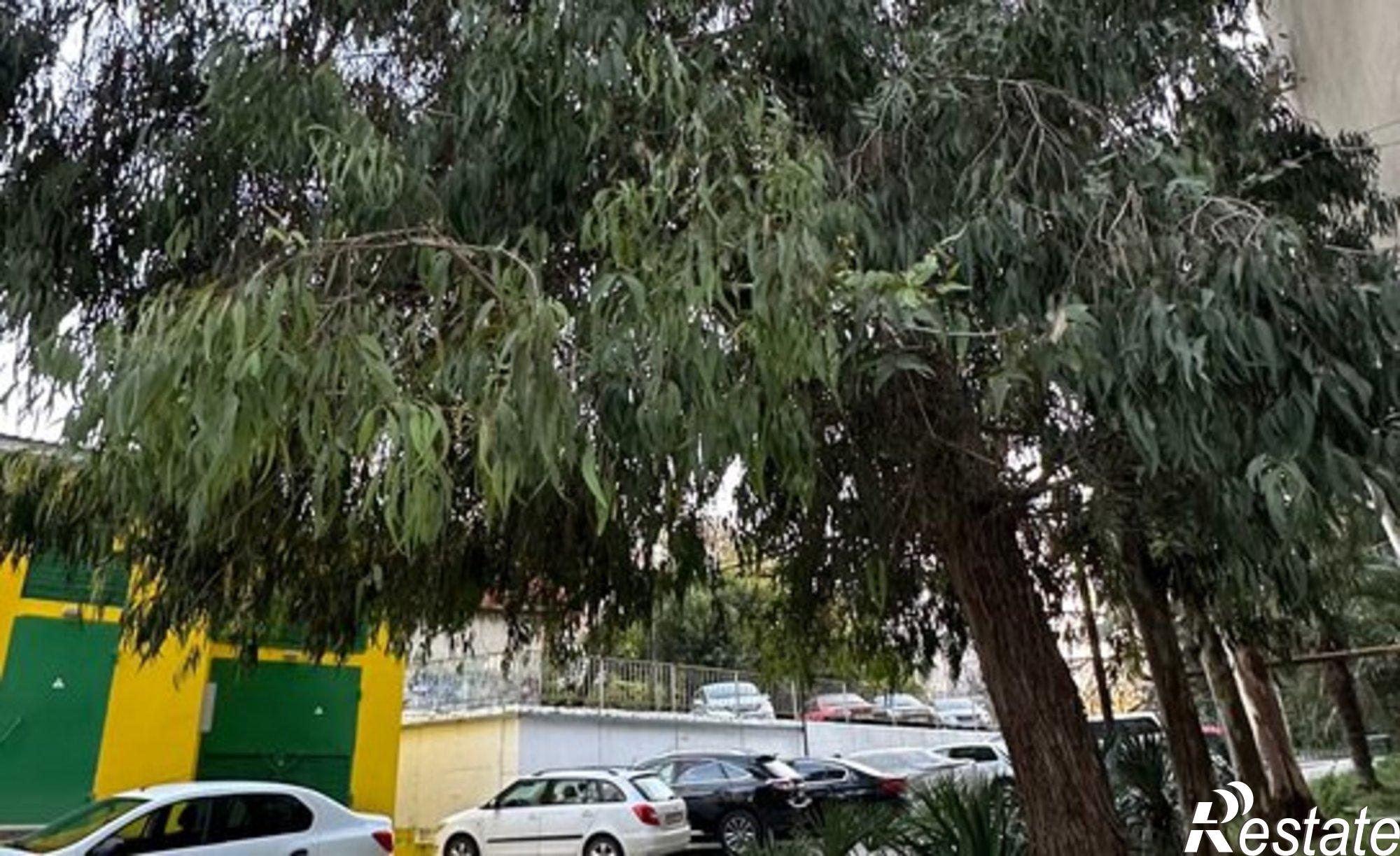 Купить квартиру за 39 000 000 рублей на ул Невская, 19