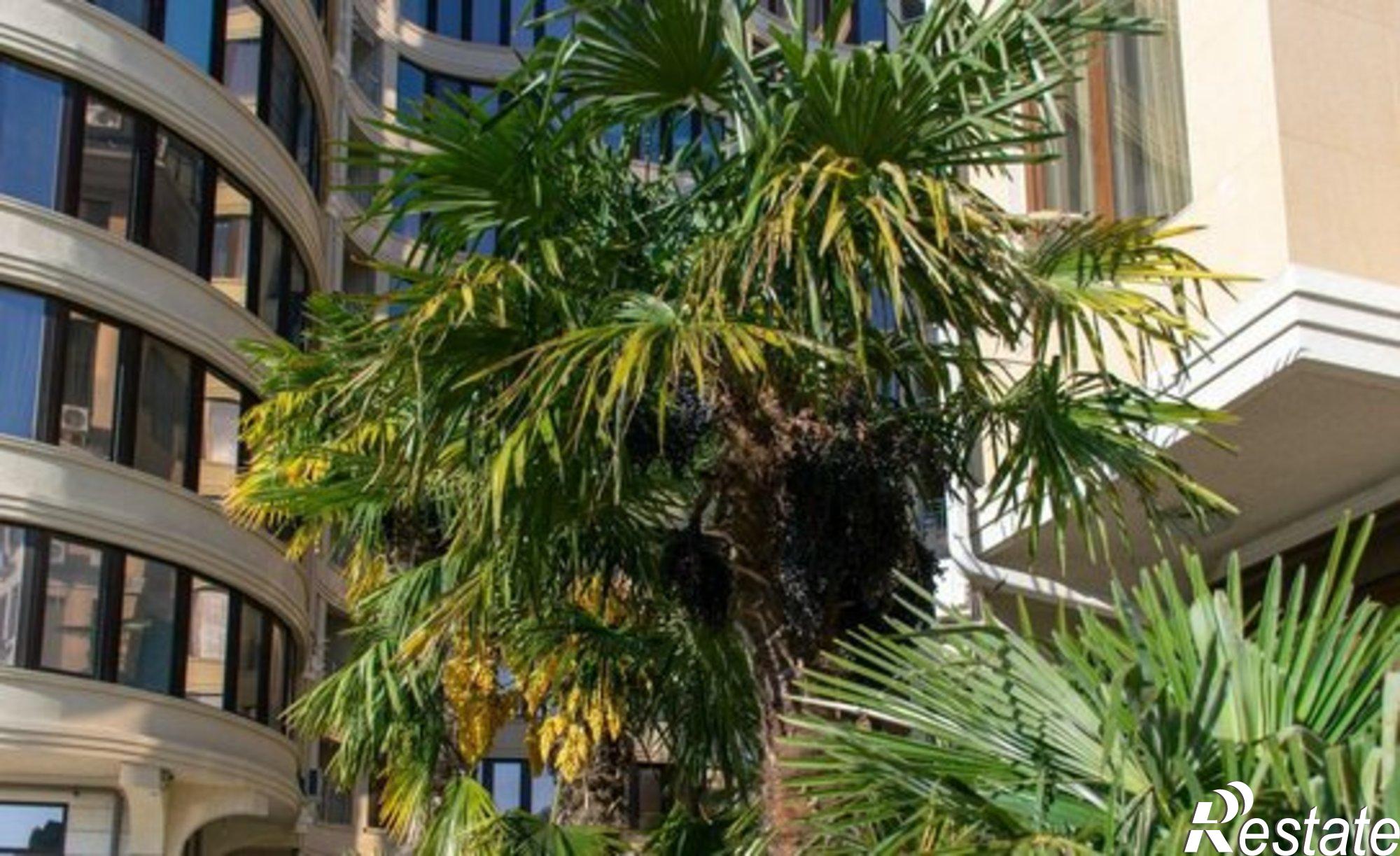 Купить квартиру за 10 250 000 рублей на улица Лысая Гора, 23/1