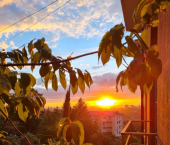 1-комн, 35кв м, этаж 4/5 Вишнёвая улица, 22 к2