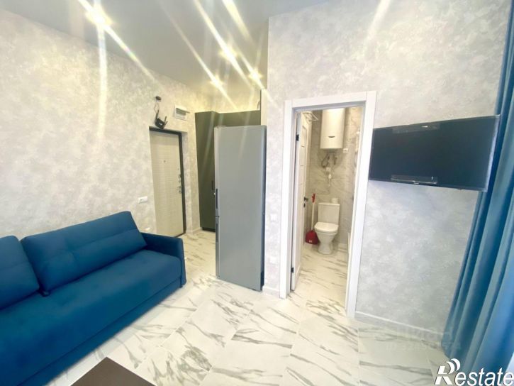 1-комн квартира улица Тимирязева, 53Д,  д. 53Д