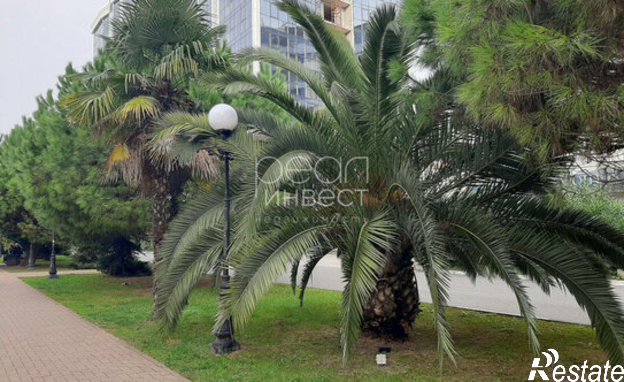 Купить квартиру за 11 000 000 рублей на ул Волжская, 42/1