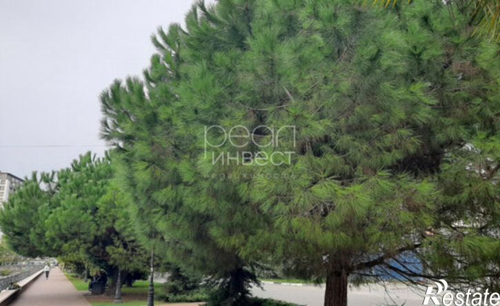 1-комн квартира ул Волжская, 42/1,  д. 42/1