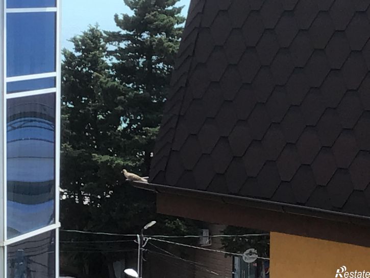 2-комн квартира Нижнеимеретинская , 137А