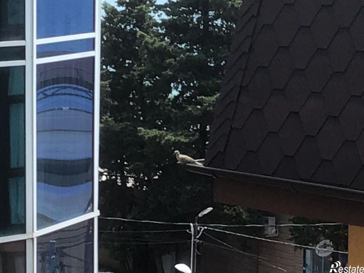 2-комн квартира Нижнеимеретинская , 137А