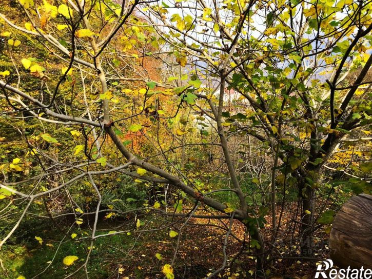 Земельный участок городской округ Сочи