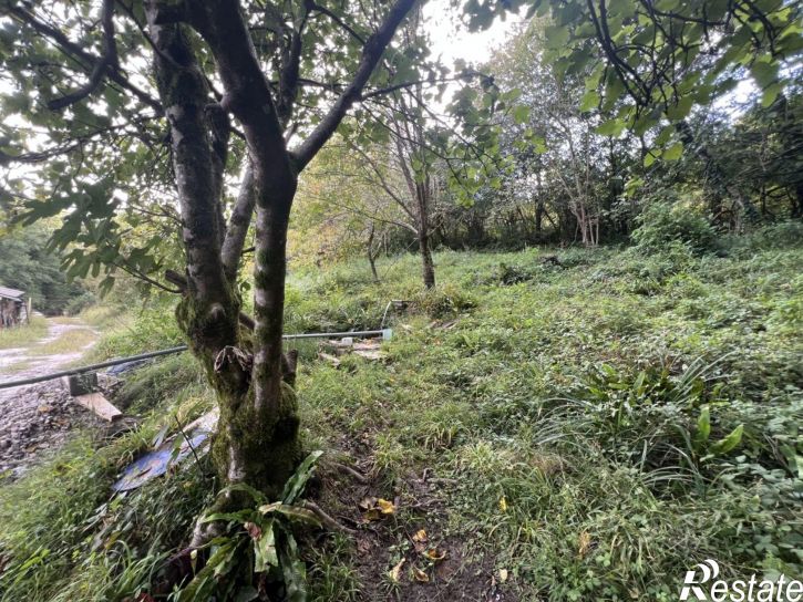 Земельный участок городской округ Сочи