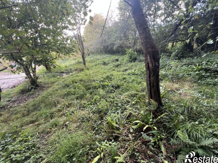 Земельный участок городской округ Сочи