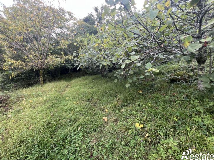 Земельный участок городской округ Сочи