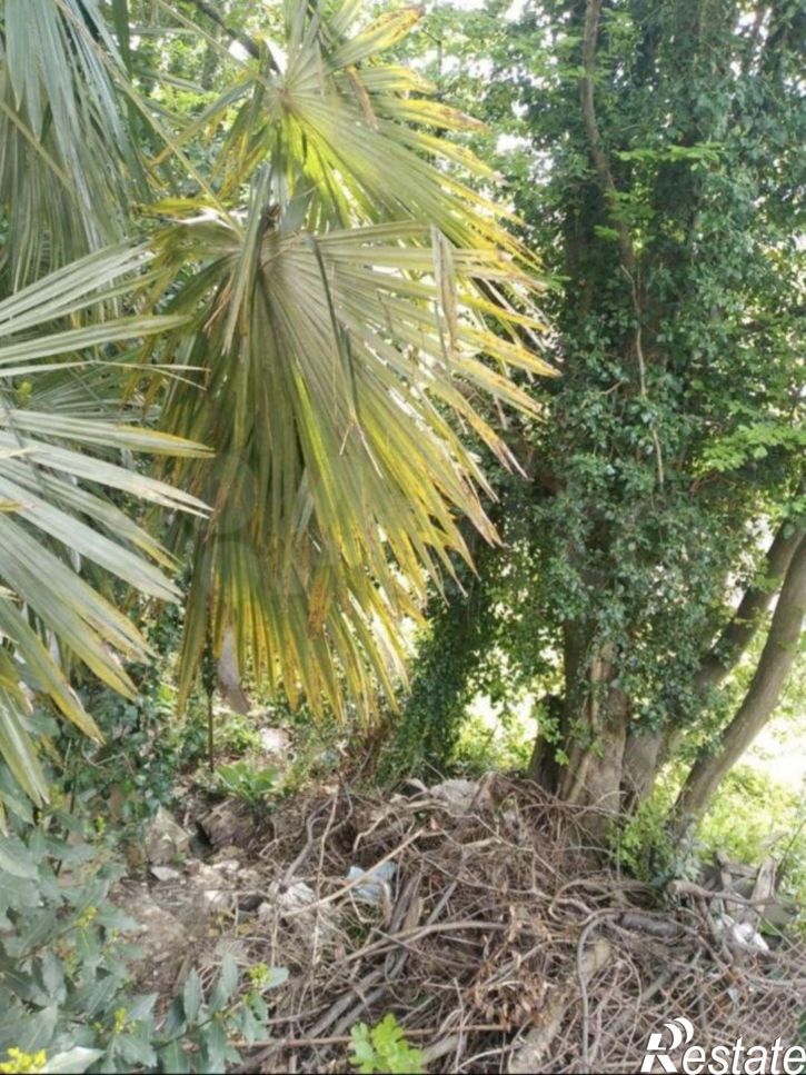 Земельный участок ул Я.Фабрициуса, 29,  д. 29