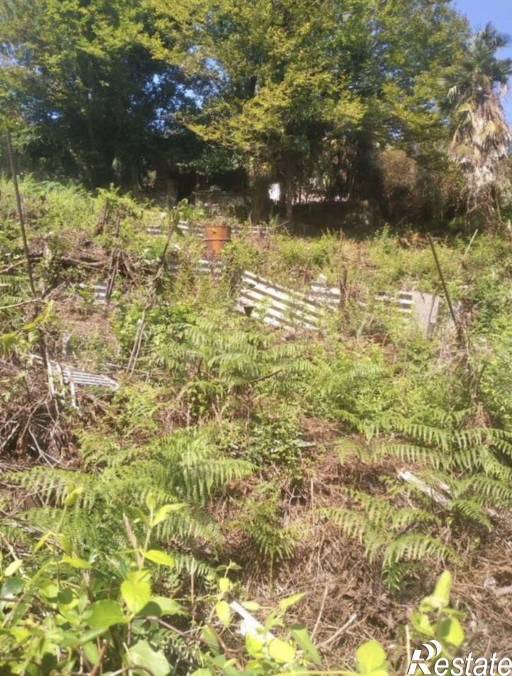 Земельный участок ул Я.Фабрициуса, 29,  д. 29