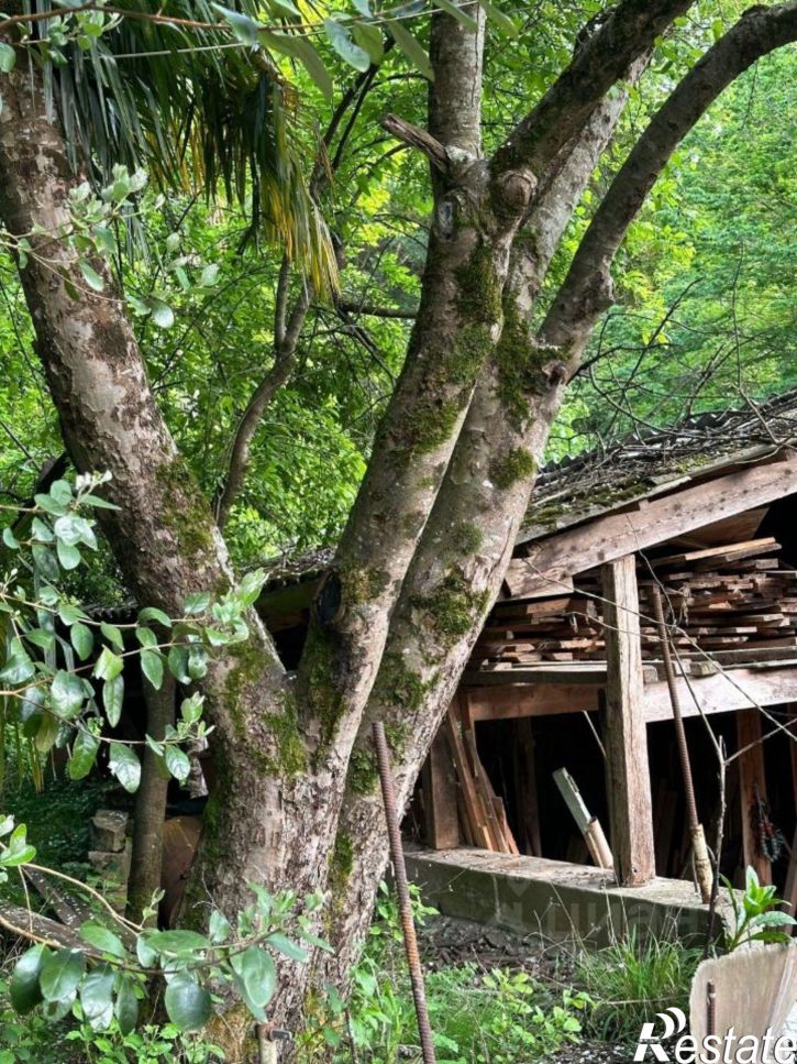 Земельный участок Сочинское шоссе, 67,  д. 67