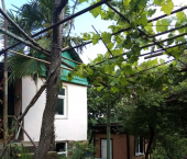коттедж 48 кв м ул Центральная, 43