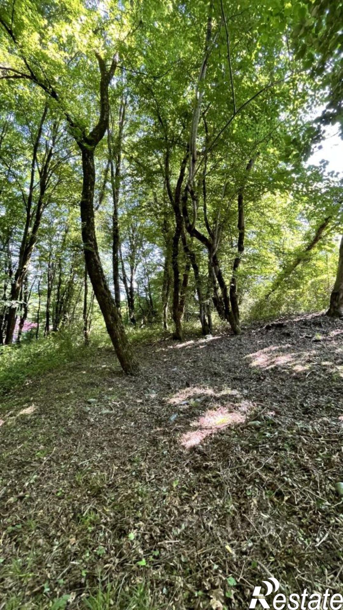 Купить землю, земельный участок за 6 900 000 рублей на городской округ Сочи