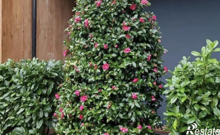 2-комн квартира Львовская улица, 70А к3,  д. 70А к3