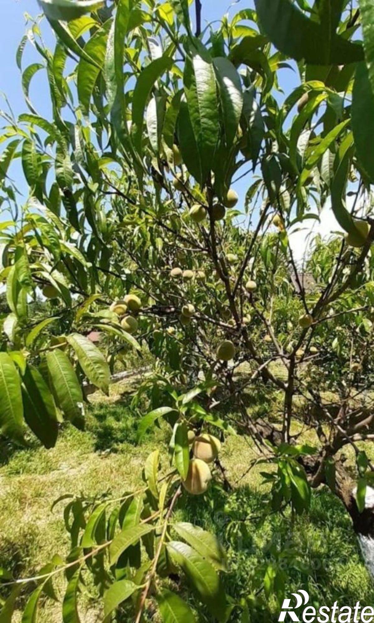 Купить дачу, дом, коттедж за 38 000 000 рублей на улица Туманяна, 28