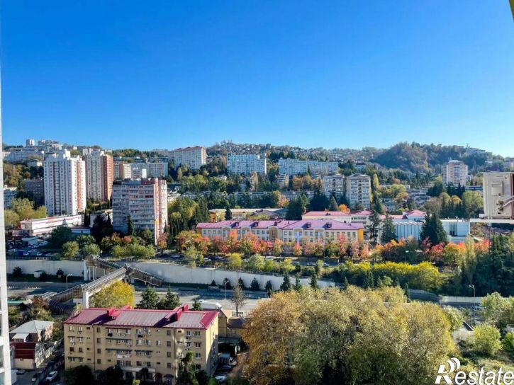 3-комн квартира ул Пластунская, 123А 3,  д. 123А 3,  к. 3