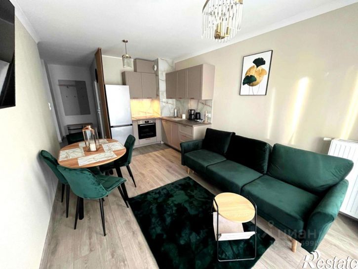 1-комн квартира Курортный пр-кт, 59,  д. 59
