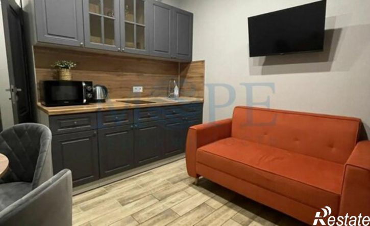1-комн квартира ул Защитников Кавказа, 19,  д. 19