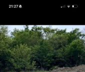 земля 4.8 сот СНТ Королёк