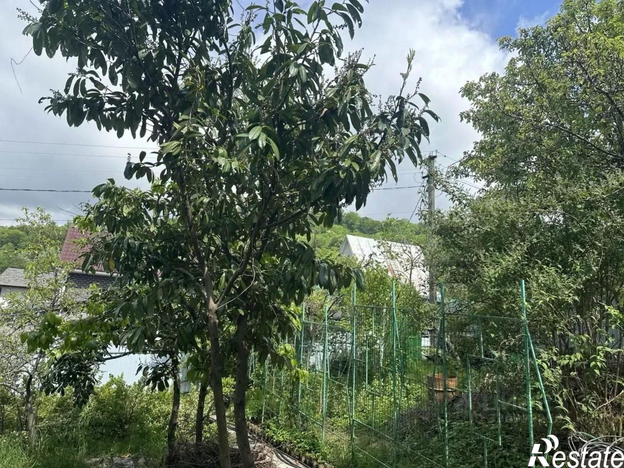 Купить дачу, дом, коттедж за 13 500 000 рублей на ул Тбилисская, 2