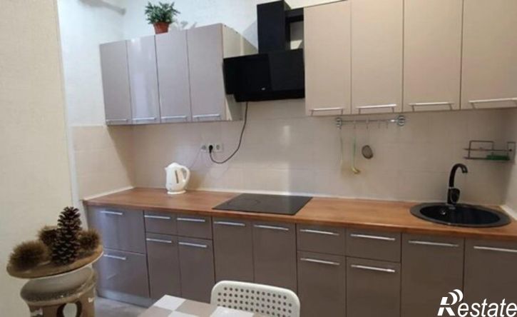 2-комн квартира Курортный пр-кт, 255,  д. 255