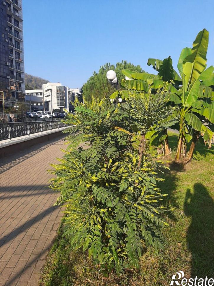 2-комн квартира Анапская улица, 5Д,  д. 5Д