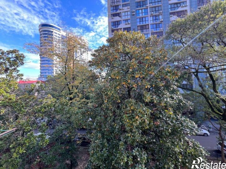 2-комн квартира улица Роз, 39,  д. 39
