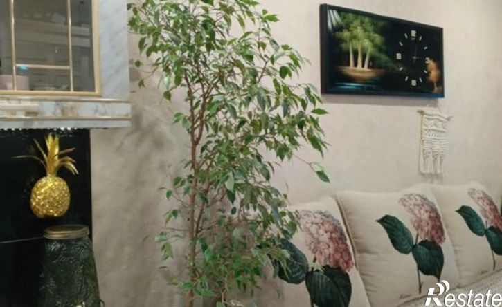 1-комн квартира ул Пасечная, 37,  д. 37