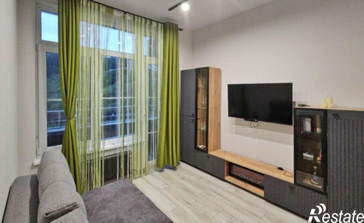 1-комн квартира ул Ленина, 290/7 7,  д. 290/7 7,  к. 7