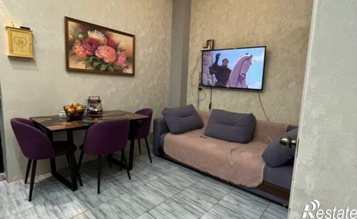 1-комн квартира ул Троицкая, 33,  д. 33