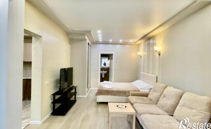 1-комн квартира ул Бамбуковая, 44Б,  д. 44Б