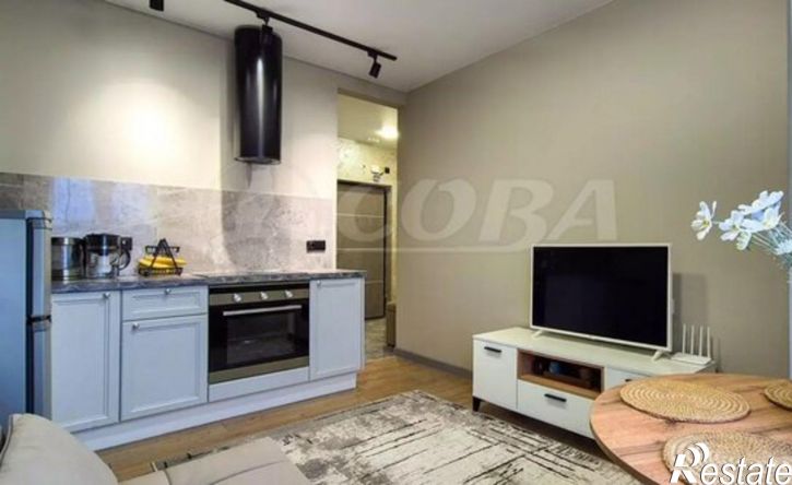 1-комн квартира ул Искры, 88,  д. 88